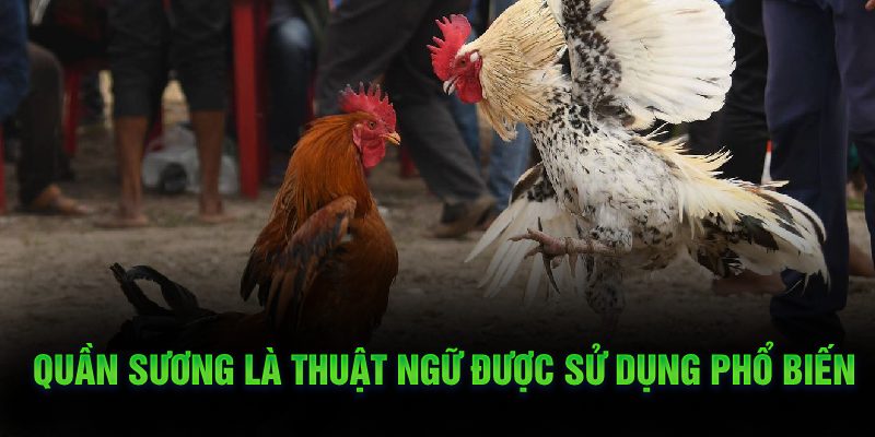 Quần sương là thuật ngữ được sử dụng phổ biến 
