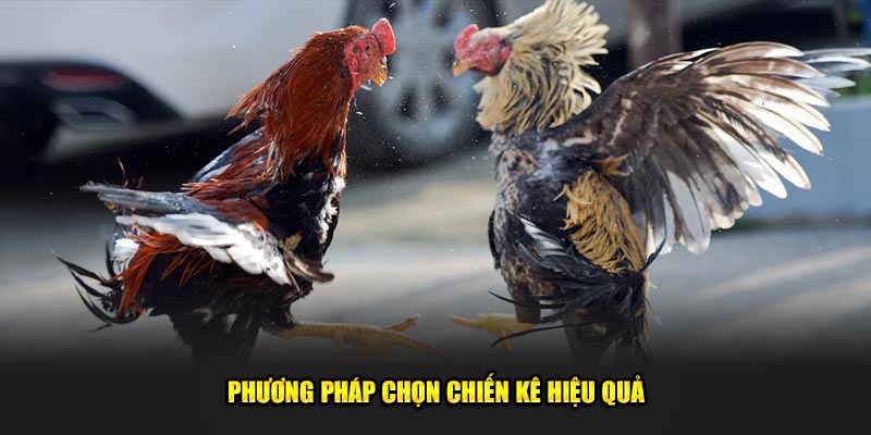 Phuong-phap-chon-chien-ke-hieu-qua